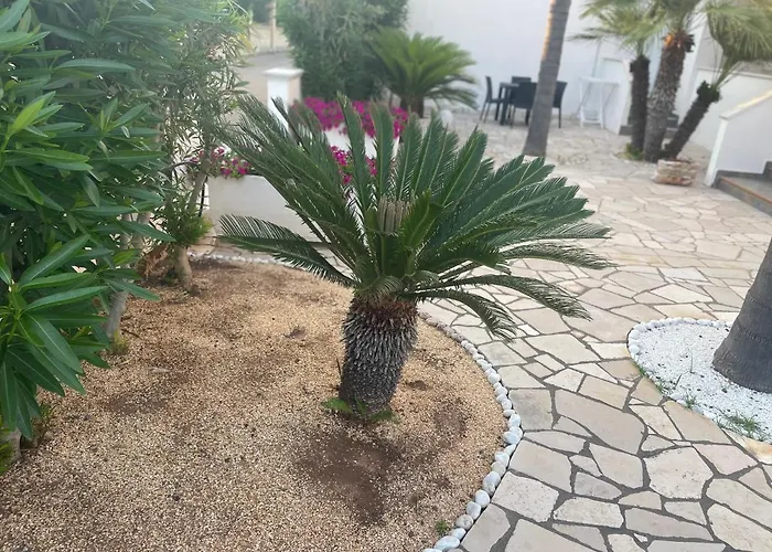 Bed And Breakfast Kale ' Porto Cesareo